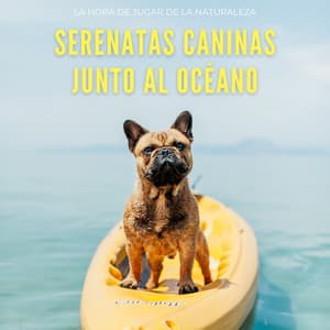Serenatas Caninas Junto Al Océano: La Hora De Jugar De La Naturaleza - Sonidos de la Naturaleza Música de la Naturaleza
