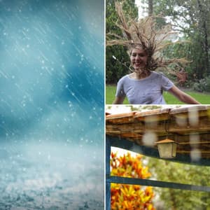 Ambiance for Chill Tuesday - Santiago Lorenzo Amor