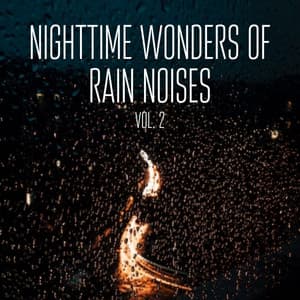Nighttime Wonders of Rain Noises Vol. 2 - The Relaxation Principle