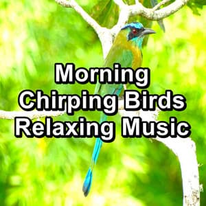 Morning Chirping Birds Relaxing Music - Yoga & Meditation