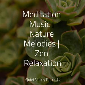 Meditation Music | Nature Melodies | Zen Relaxation - Rain Drops for Sleep