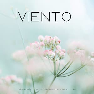 Compañero De Estudio: Tranquilo Ambiente De Viento - Lista de Reproducción de Estudio