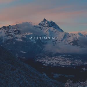 Mountain Air - Forest FX