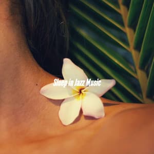 Sleep in Jazz Music - New York City Jazz Club