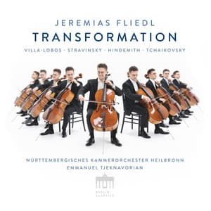 Transformation - Jeremias Fliedl