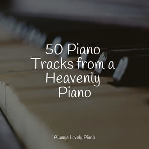 50 Quiet Listening and Calming Piano Melodies - Concentration Study