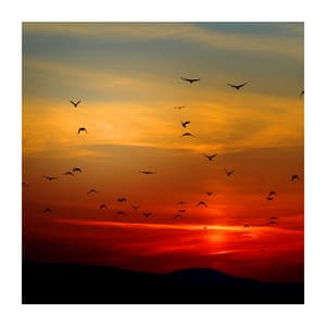 Let’s Rest Under the Shining Stars - Moonlight Shadow Universe