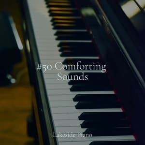#50 Comforting Sounds - SD