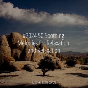 #2024 50 Soothing Melodies for Relaxation and Relaxation - Yoga Namaste