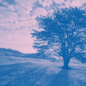 New Age Music with Spoken Words - Music for Deep Relaxation - Water Ambience