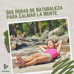 2 Horas de Naturaleza para Calmar la Mente - #Calmante