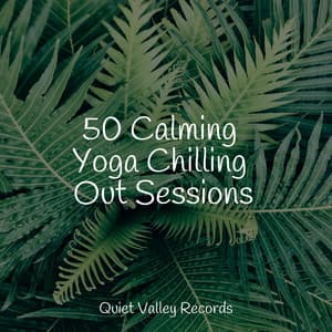 50 Calming Yoga Chilling Out Sessions - Meditative Music Guru
