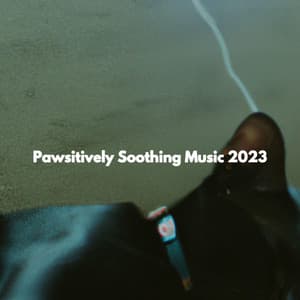 Pawsitively Soothing Music 2023 - Chill Playlist