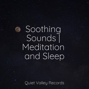 Soothing Sounds | Meditation and Sleep - Serenity Spa Music Relaxation