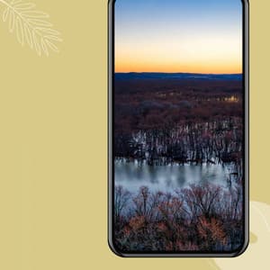 Tranquil - Self Care Days - Jazz Afternoons