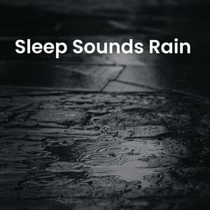Sleep Sounds Rain - LBE Nature Recordings