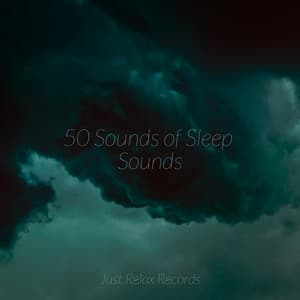 50 Sounds of Sleep Sounds - Relajación