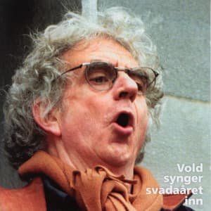 Vold Synger Svadaåret Inn - Jan Erik Vold