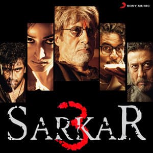 Sarkar 3 - Ravi Shankar