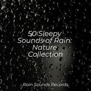 50 Sleepy Sounds of Rain: Nature Collection - Sons da Natureza