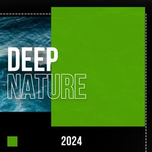 2024 Deep Nature - Rainforest Sounds