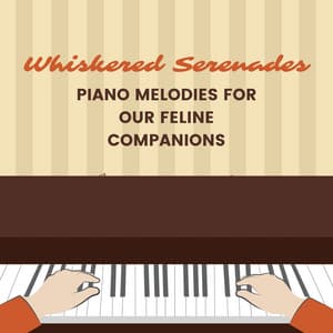 Whiskered Serenades: Piano Melodies for Our Feline Companions - Chillout Lounge Piano