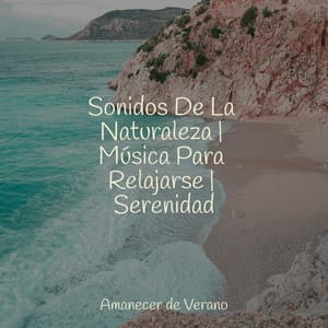Sonidos De La Naturaleza | Música Para Relajarse | Serenidad - Meditación Interna