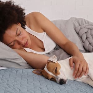 Tranquil Pet Dreamwaves: Reflective Melodies for Cozy Comfort - Jaumey