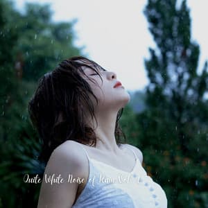 Quite White Noise of Rain Vol. 1 - The White Noise Travelers