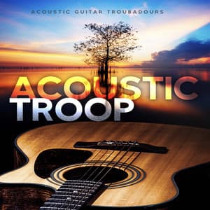 Acoustic Troop - The Acoustic Guitar Troubadours