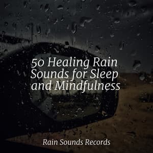 50 Healing Rain Sounds for Sleep and Mindfulness - Natureza