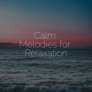 Calm Melodies for Relaxation - Sleep Waves