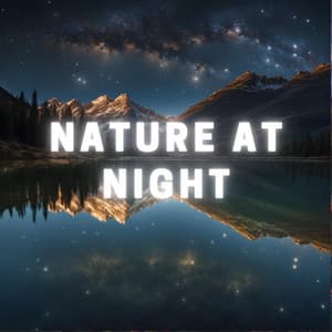 Nature at Night - The Namaste
