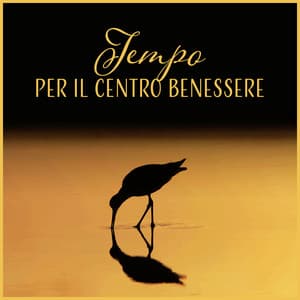 Tempo per il centro benessere - Musica di rilassamento e antistress, Suoni d'ambiente, Rilassare la mente, Massaggio shiatsu - Incredibile collezione di musica spa