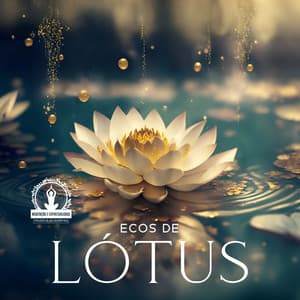 Ecos de Lótus: Jardim do Perdão - Meditação e Espiritualidade Musica Academia