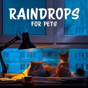 Raindrops for Pets: Soothing Music with Rain Sounds, Relaxation Time for You and Your Pet, Anxiety and Insomnia Relief - Calm Pets Music Academy
