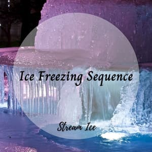 Stream Ice: Ice Freezing Sequence - Nature on Record
