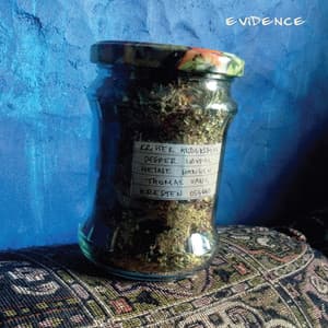 Evidence - Kresten Osgood