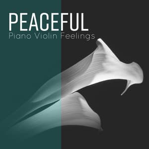 Peaceful Piano Violin Feelings - Classical Ambient Instrumentals - Lena Ray