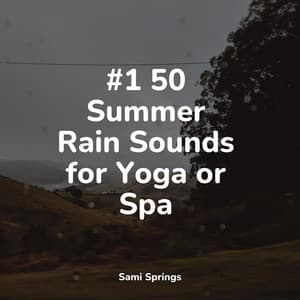 50 Relaxing Rain Sounds for Sleep - Regengeräusche