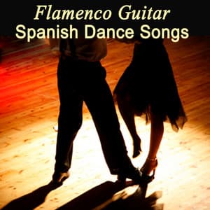 Flamenco Guitar - Spanish Dance Songs - Mark Taylor flamenco guitarist