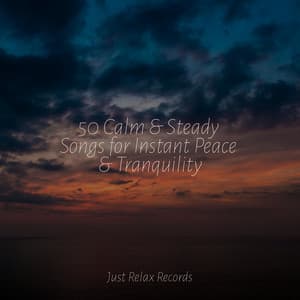 50 Calm & Steady Songs for Instant Peace & Tranquility - Dog Music