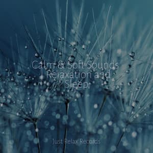 Calm & Soft Sounds | Relaxation and Sleep - Música Zen Relaxante