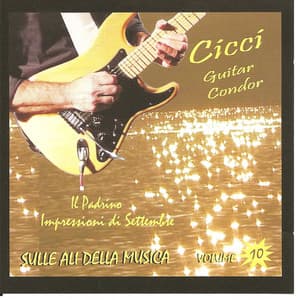 Sulle ali della musica, vol. 10 - Cicci Guitar Condor
