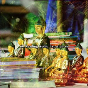 60 Reading Audio Experiences - Musique Zen Garden