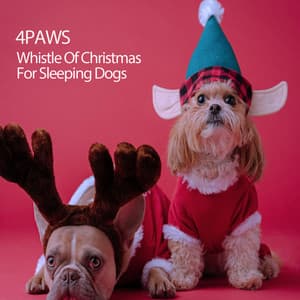 4Paws: Whistle Of Christmas For Sleeping Dogs - Cat Music Studio