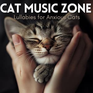 Cat Music Zone - Lullabies for Anxious Cats - RelaxMyCat