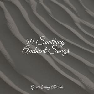 50 Soothing Ambient Songs - Brown Noise