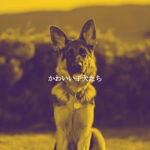 かわいい子犬たち - Calming Jazz Lounge