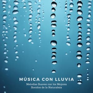 Música con Lluvia - Melodías Suaves con los Mejores Sonidos de la Naturaleza - Cascada de Lluvia